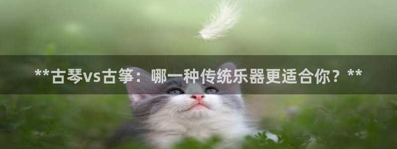 凯发平台风采