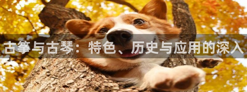 凯发k8旗舰厅手机下载