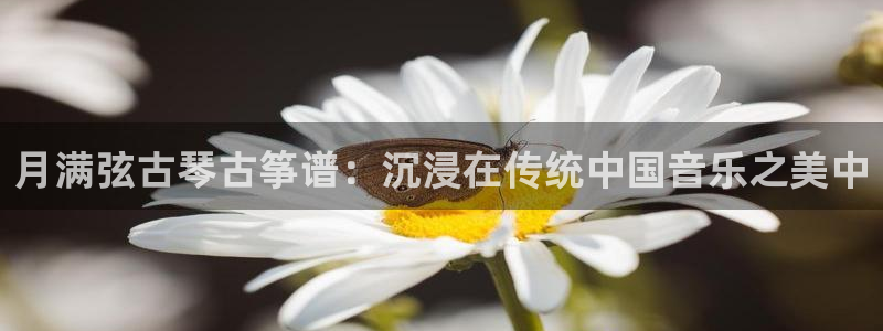 凯发国际平台app