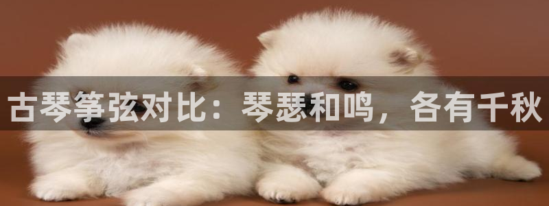 凯发k81111国际真人版