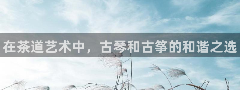 凯发k8娱乐官网网址中心