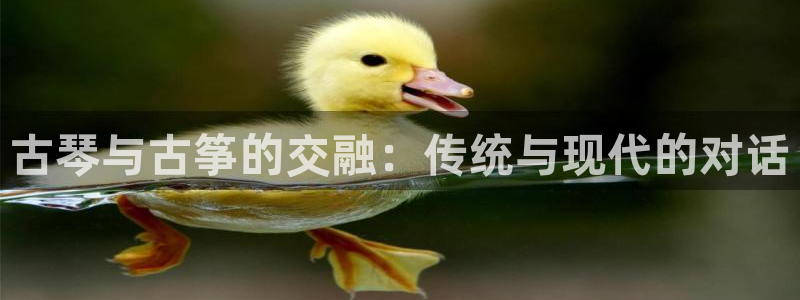 凯发国际平台app