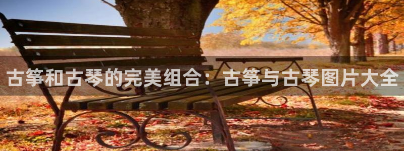 凯发国际平台首页：古筝和古琴的完美组合：古筝与古琴图片大全
