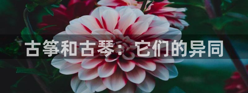 k8凯发官方找就送38