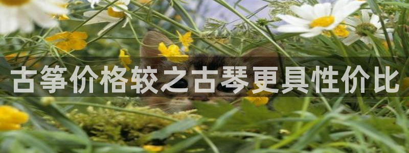 凯发a600丶cc官网首页