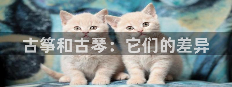 凯发国际是什么投资平台