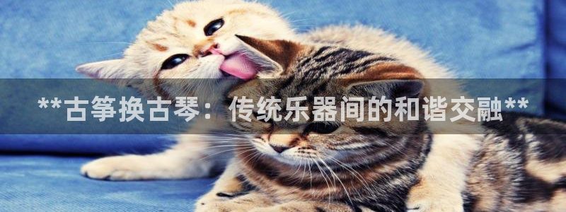 凯发k8娱乐欢迎您