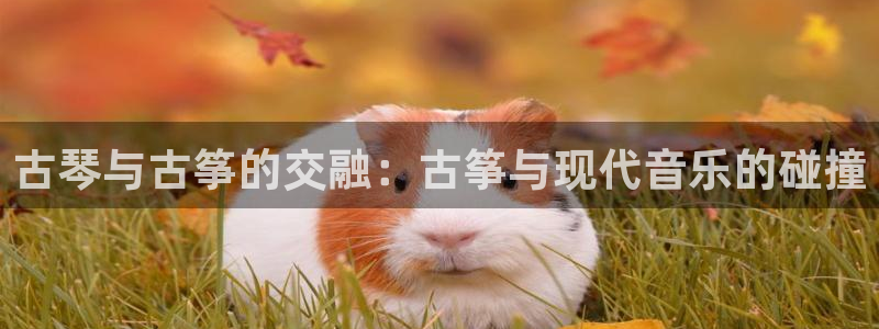 凯发k8国际官网可靠吗：古琴与古筝的交融：古筝与现代音乐的碰