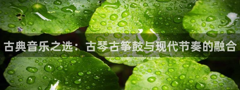 凯发网网站