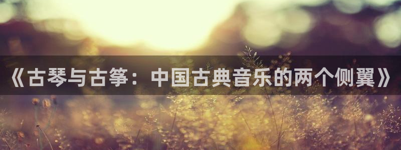 凯发娱乐国际厅：《古琴与古筝：中国古典音乐的两个侧翼》