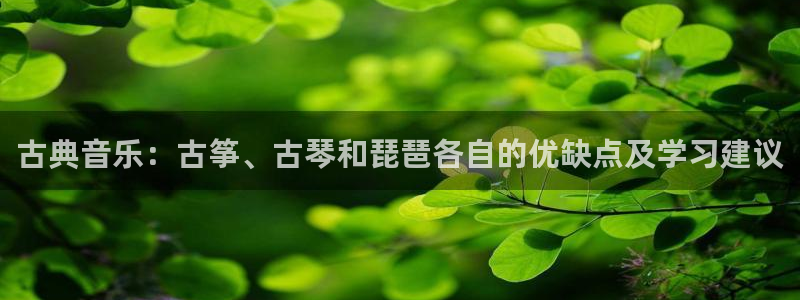 凯发app平台：古典音乐：古筝、古琴和琵琶各自的优缺点及学习