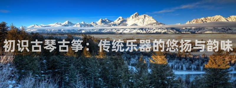 凯发k8app下载：初识古琴古筝：传统乐器的悠扬与韵味