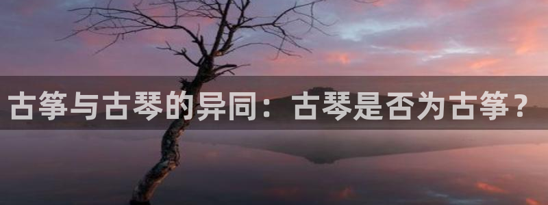 ks8凯发官方网站：古筝与古琴的异同：古琴是否为古筝？