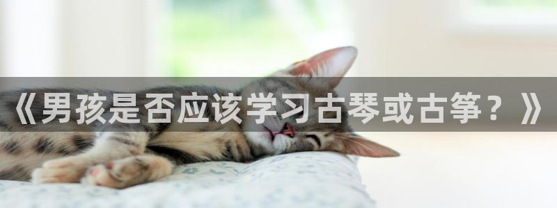 凯发k8是不是真的可靠：《男孩是否应该学习古琴或古筝？》