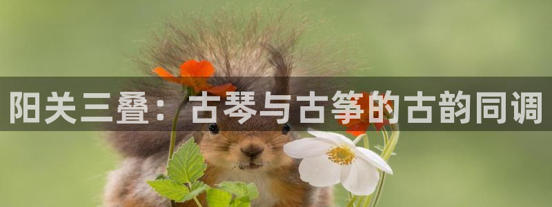 凯发国际平台官网：阳关三叠：古琴与古筝的古韵同调