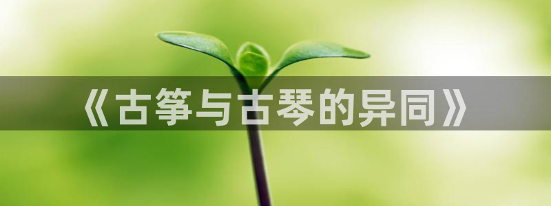 凯发k8国际真人娱乐旗舰厅：《古筝与古琴的异同》
