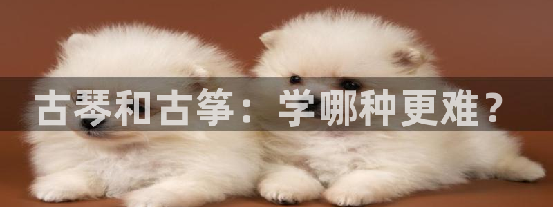 凯发K8天生赢家一触即发