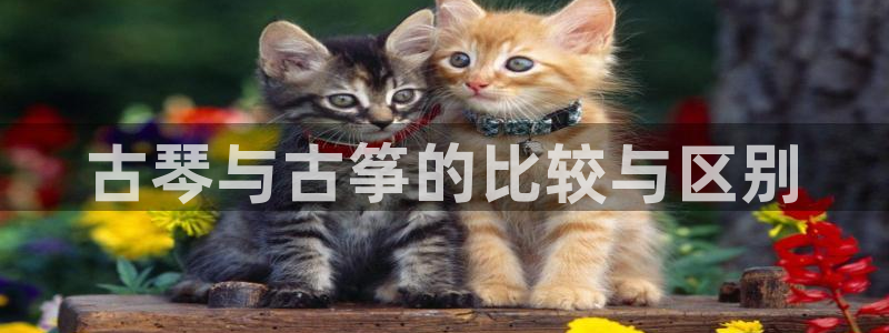 凯发k8娱乐是真实的吗