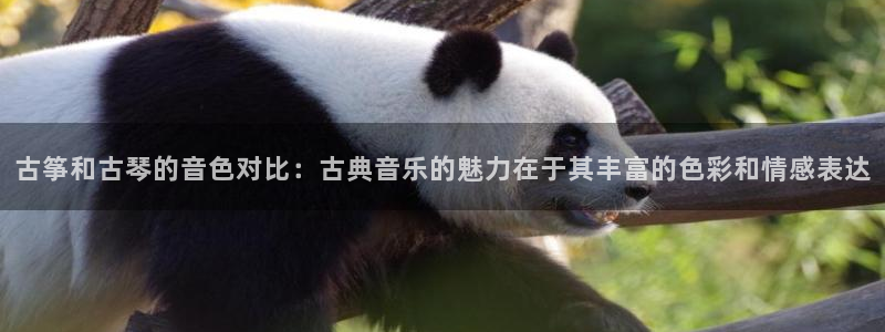 凯发国际是什么投资平台