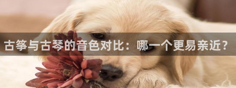 凯发k8国际手机网页