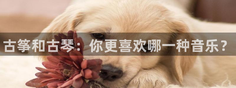 凯发k8国际手机网页