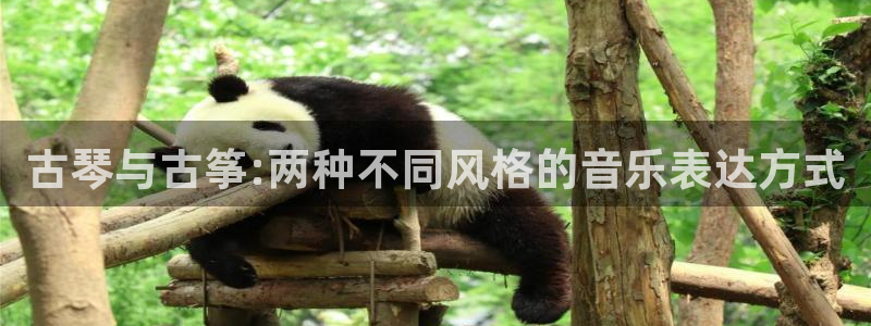 凯发k8娱乐手机版官网