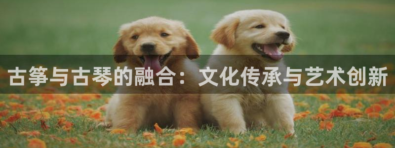 凯发k8官网so选来就送38