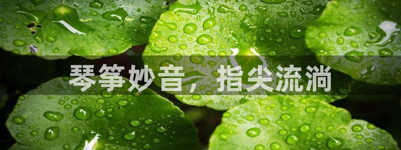 凯发k8娱乐官方版fxzls -安卓3.5