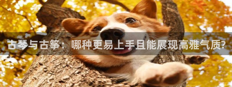 凯发国际娱乐官网k8