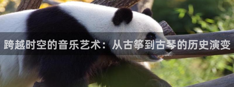 凯发旗舰客户端