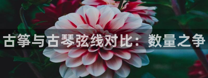 凯发k8手机是正品吗知乎