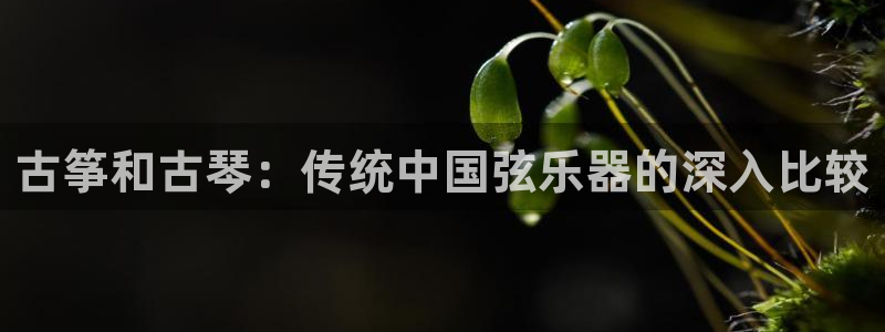 凯发旗舰客户端