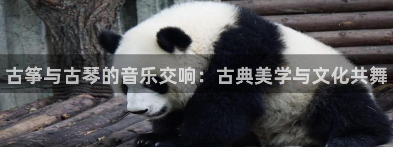 凯发k8娱乐官方下载：古筝与古琴的音乐交响：古典美学与文化共