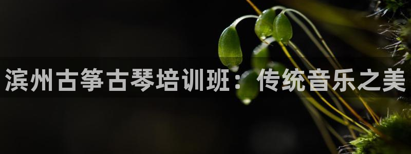 凯发k8娱乐网址多少